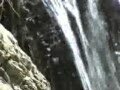video pic