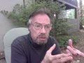 video pic