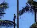 video pic