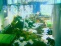 video pic